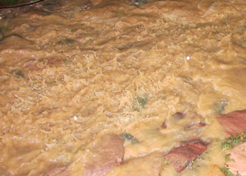 Agua descendiendo por la calle San Martín, en plena lluvia.