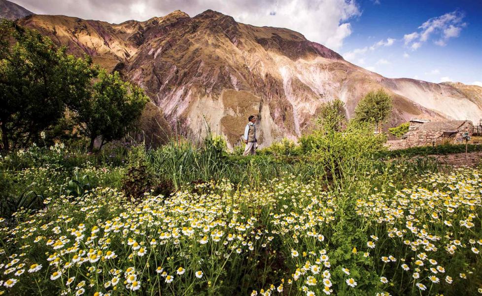 El huertillo de Leonardo, en San Juan (Iruya).