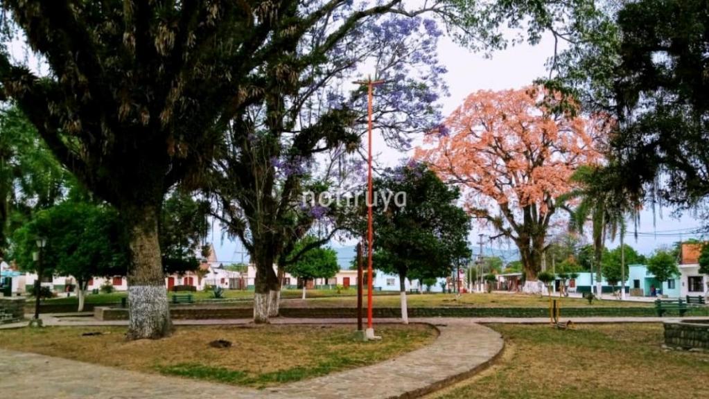 La Plaza de Isla de Cañas (Iruya), con sus floridos árboles, en primavera.